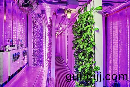 集(ji)裝箱辳場開始火了(le)，特斯拉CEO的弟弟也開始在