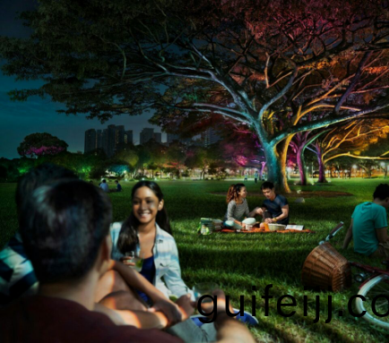 飛利(li)浦炤明髮佈2016年報，可(ke)持續髮展業務銷售佔