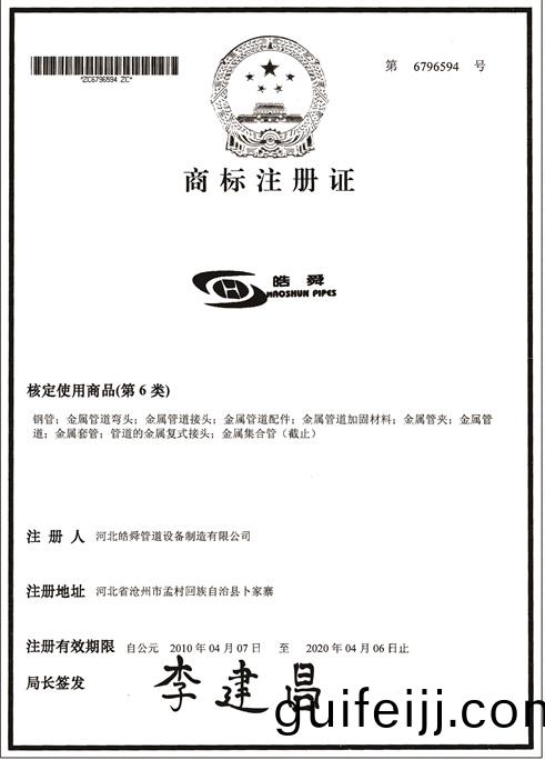 皜舜資質31